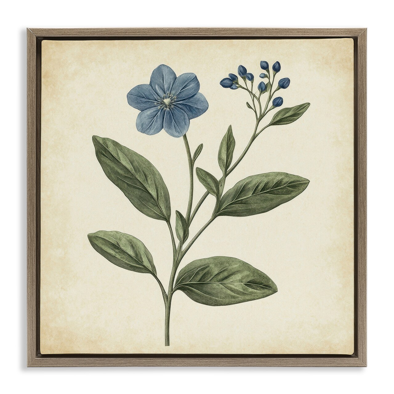 Stupell Industries Vintage Blue Blossoms Wildflower Floating Frame, design by Petal Prints Design